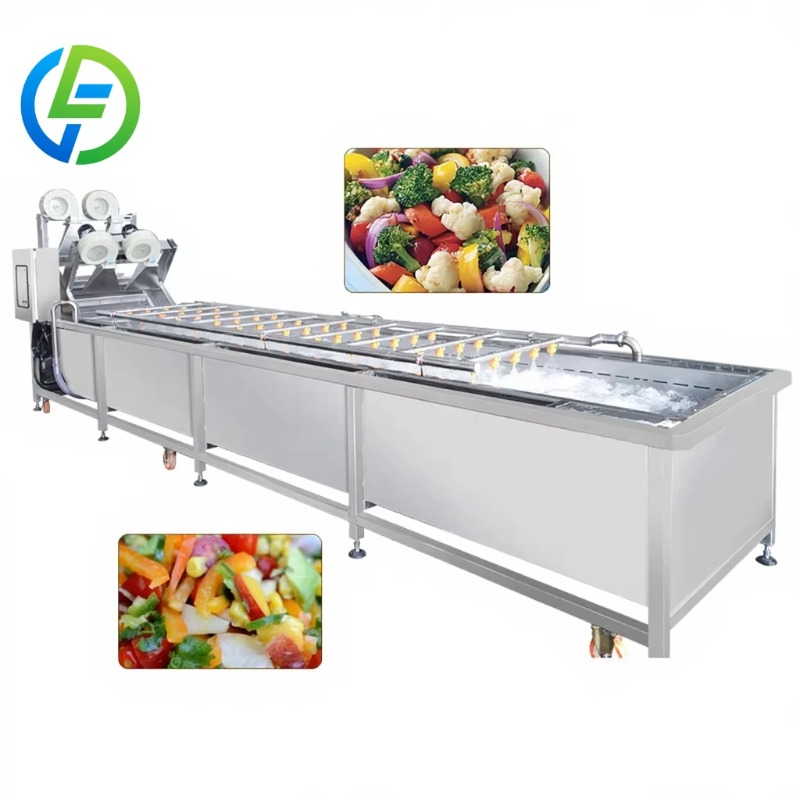 Baby Food Vegetable - Customized Baby Food Fruit Washer Elevator
