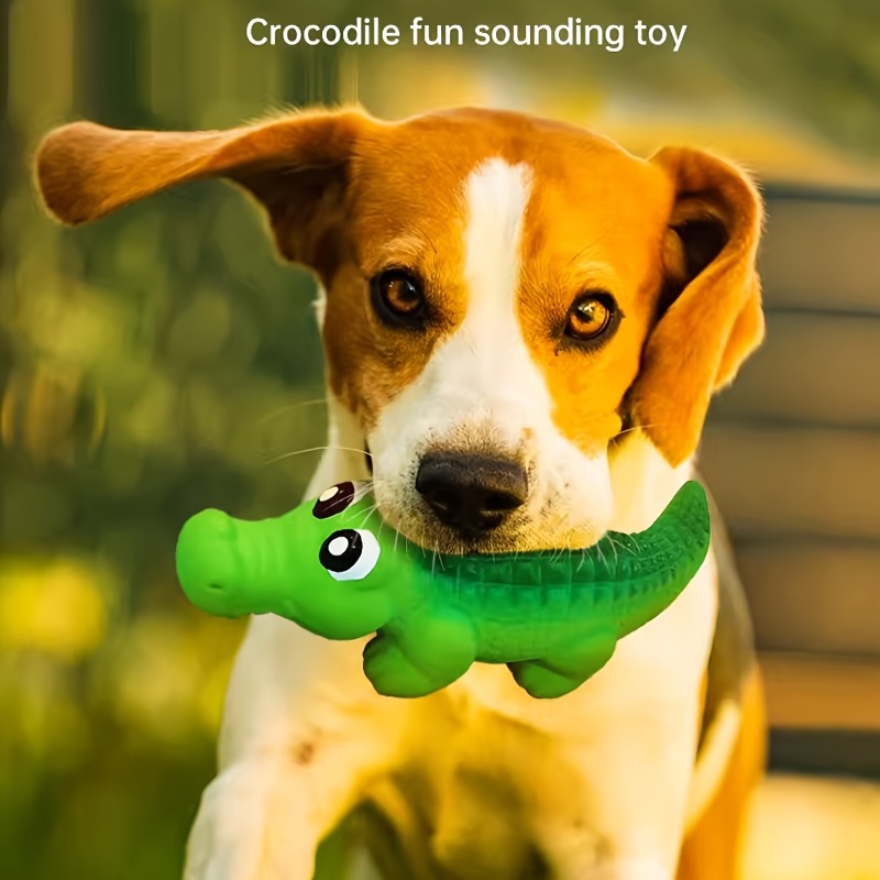 Durable Latex Chew Toy for Agg - đánh giá và giá Baby Food Weaning